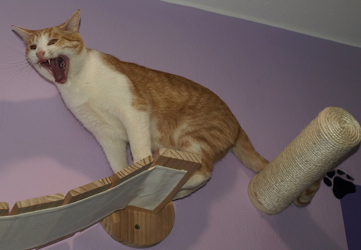 Jak jsem byla (chvíli) bohyní …