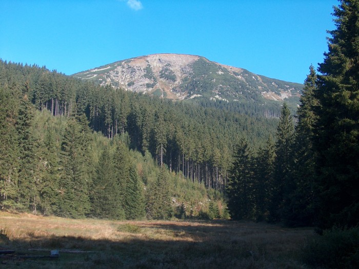 Krkonoše omezí vstup
kvůli sběračům borůvek