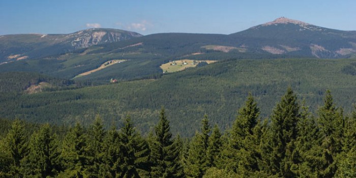 Krkonoše se opět brání
borůvkovým šílencům