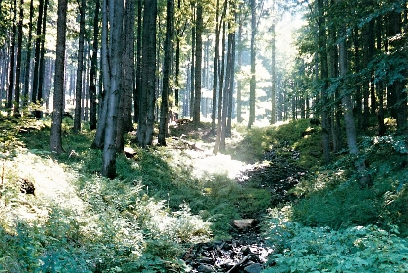 Vlastní zkušenost
