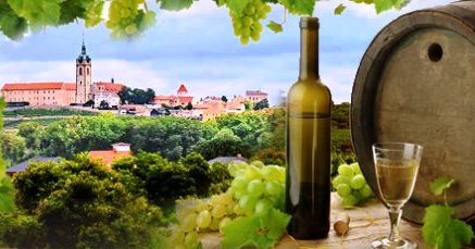Na Mělníku začalo
tradiční vinobraní