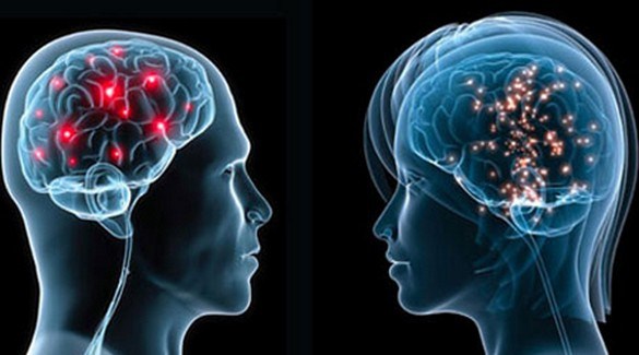 Podle psychologa Flynna
jsou ženy chytřejší než muži