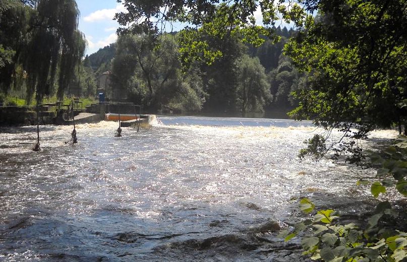 Moje plány na rok 2026 v představách