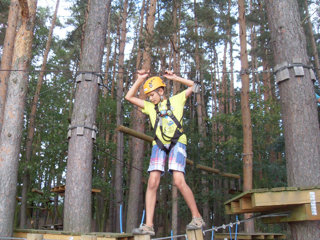 sdc10266.jpg