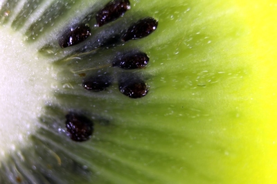 kiwi