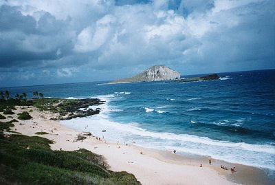 Rabbit Island