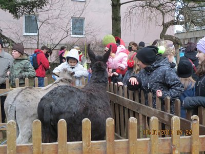 K betlému patří i zvířátka