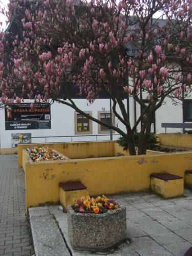 Dnes 25.4..2016 a začíné sněžit!!