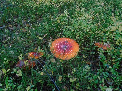 009-22.jpg