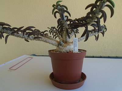 009-30.jpg