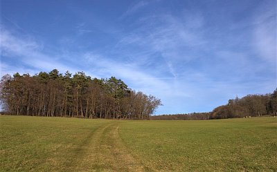 Fotoreportáž: Novoroční vycházka nad Holešovem