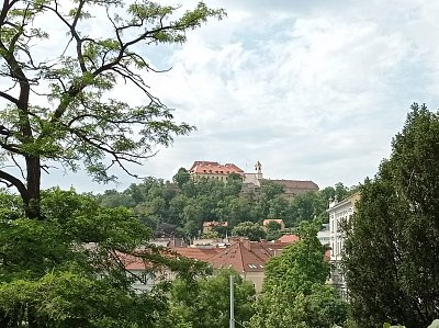 01-318.jpg