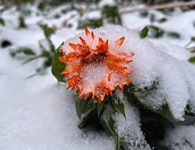 První záchvěv zimy 24-11-2025