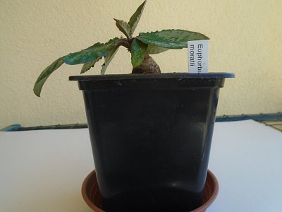 012-30.jpg