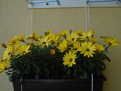 021-14.jpg