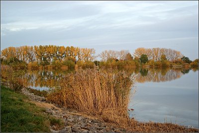 028-biotop-javornik.jpg