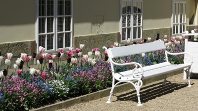 Lavička v jarním...