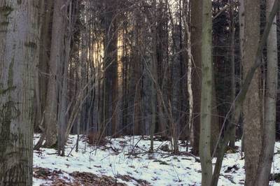 03-slunce-je-jeste-nizko.jpg