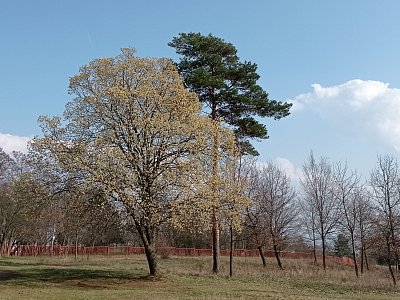 04-269.jpg