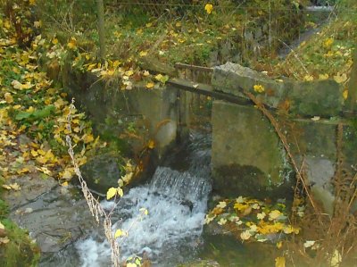 Voda voděnka.