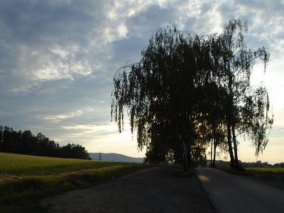 047-10.jpg
