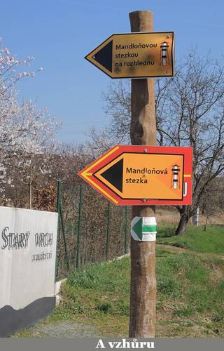06-39.jpg