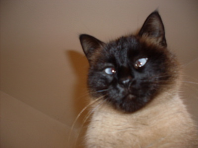 Naše šilhavá Lucinka