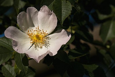 08