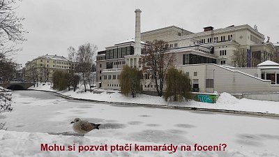 08-img-20231209-132929.jpg