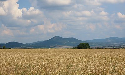 Lovoš