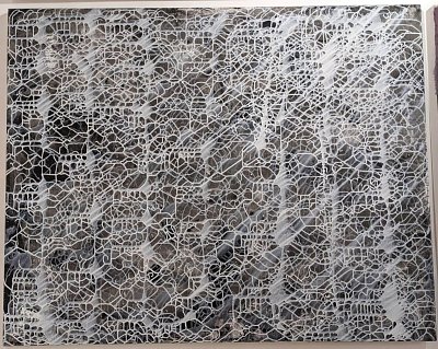 08-mycelium-112.jpg