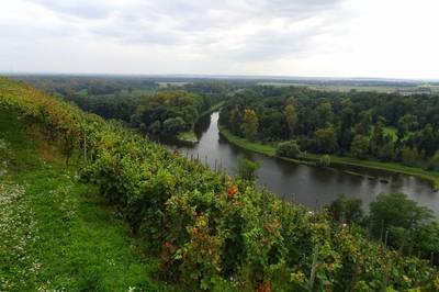 08-vinice-a-plavebni-kanal-horin.jpg