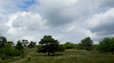 Letní krajina