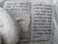 Detail textu