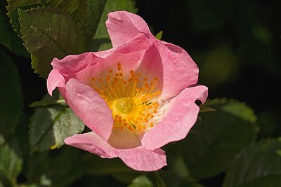 09