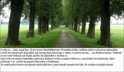 09-99.jpg