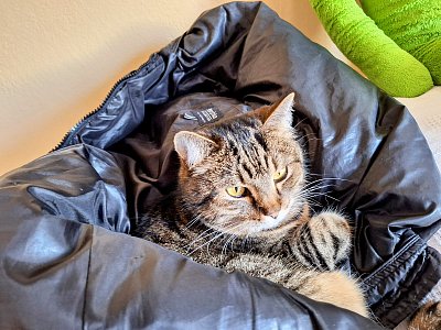 Odpočinek po vánocích