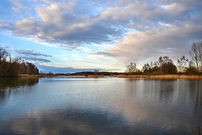 Odpoledne u rybníka