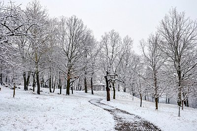 Zima v třešňovce