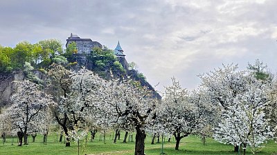 Jaro pod Kunětickou horou