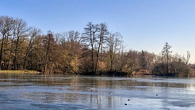 U zamrzlého rybníka