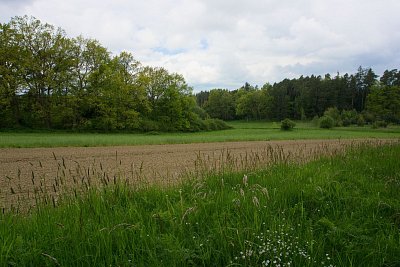 1-397.jpg