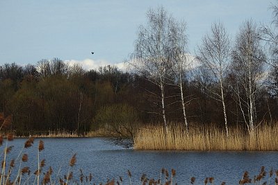 1-488.jpg