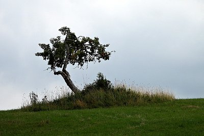 1-cestou-k-rozhledne-sam-vojak-v-poli.jpg