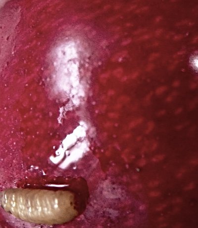 1.