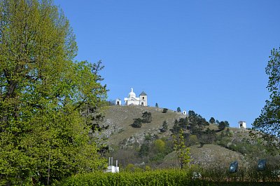 10-391.jpg