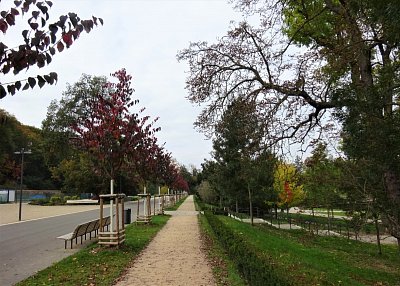 10-dsc08015.jpg