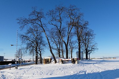 Na kraji města 11-1-2026