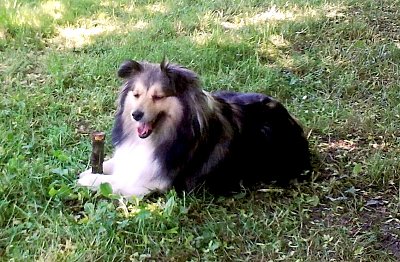 Ještě jednou moje malá Britney.  *