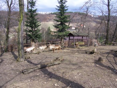 Jaro v ZOO